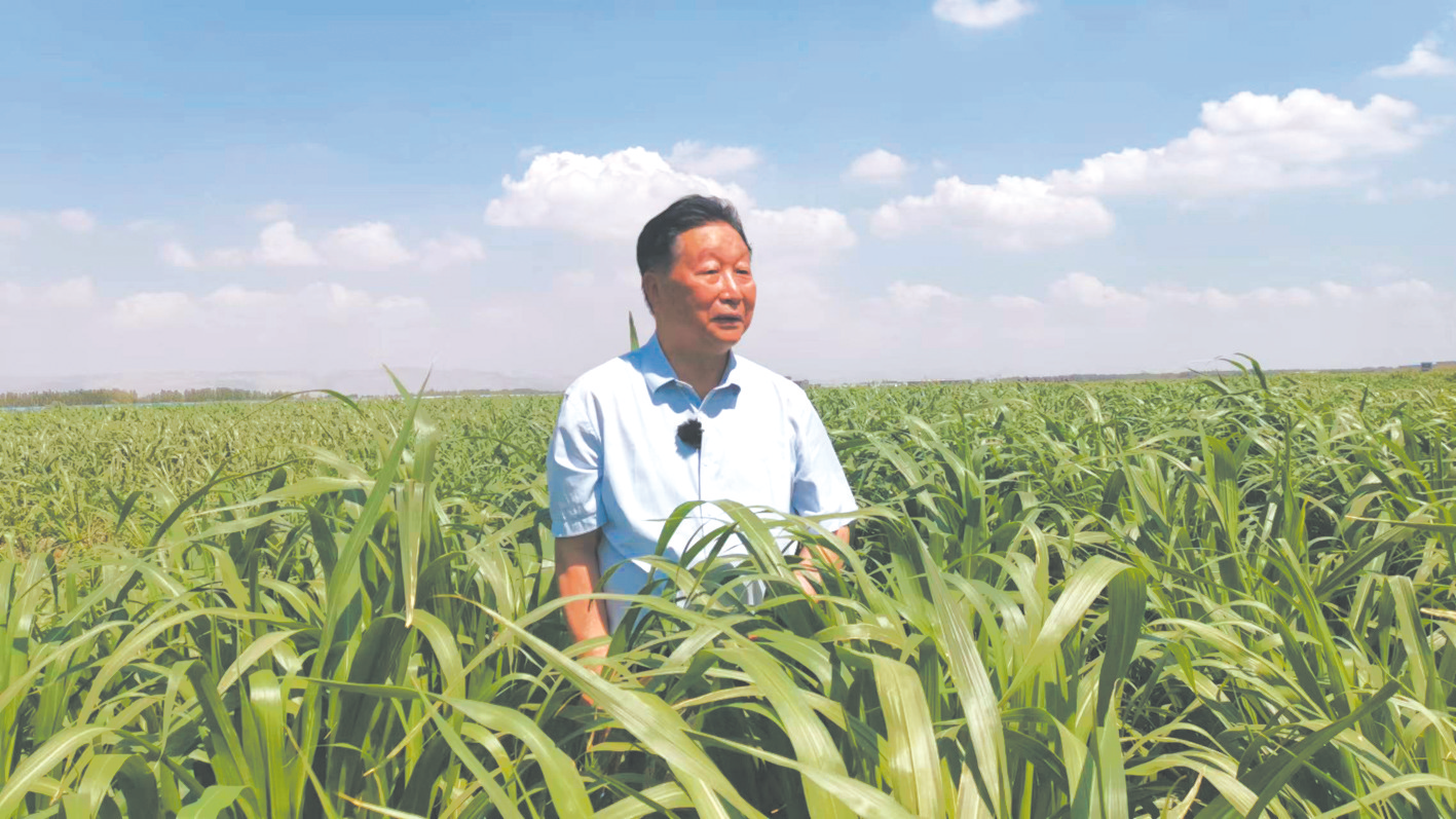 利用菌草技术造福世界 林占熺当选感动中国2022年度人物